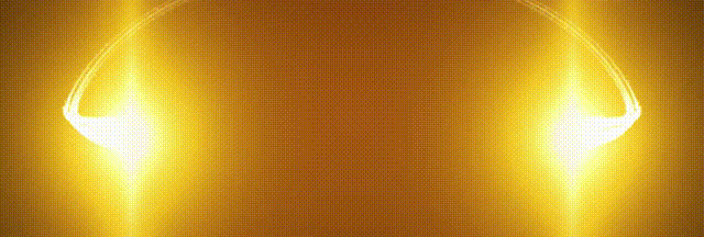 1703216636774023728.gif